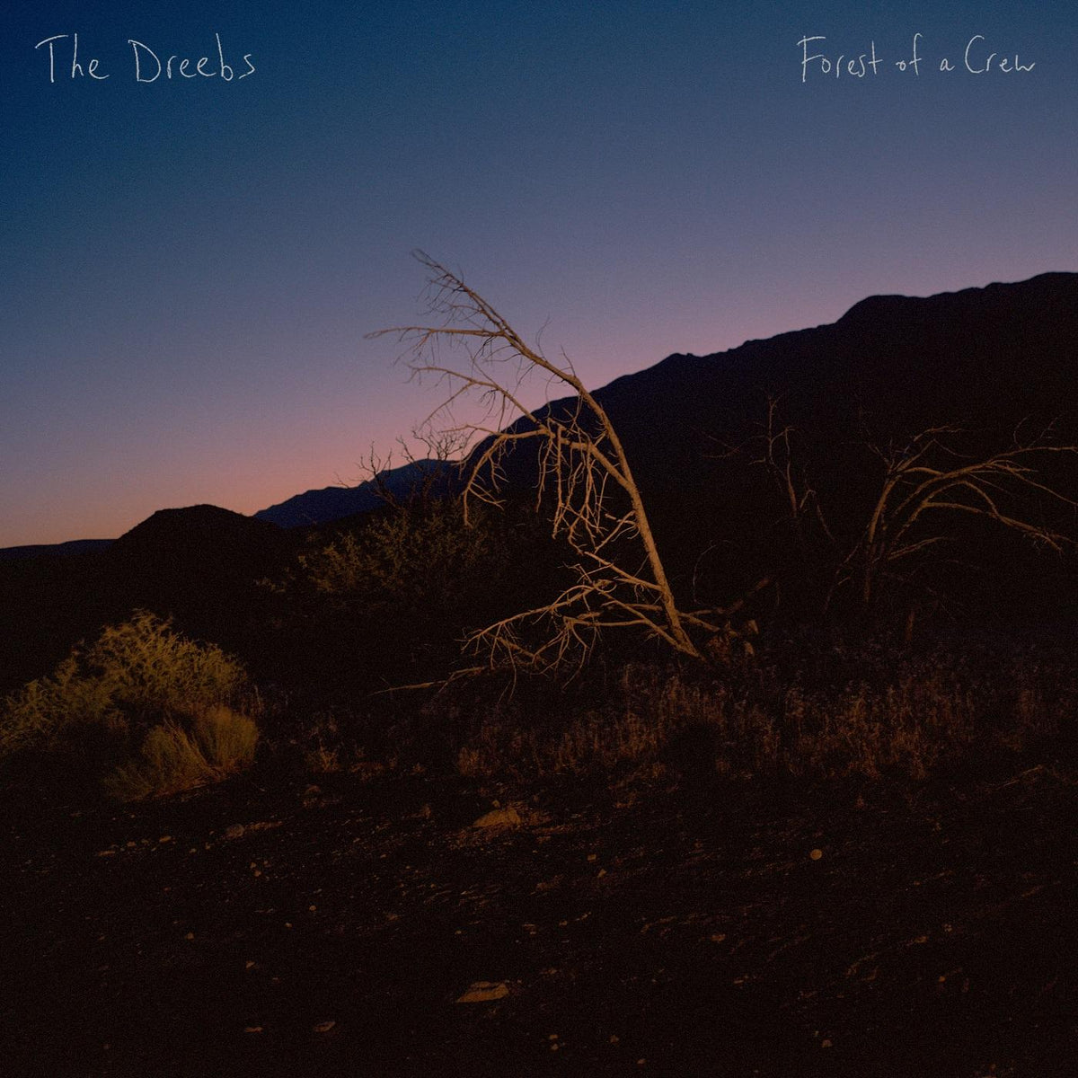 FOREST OF A.. -DOWNLOAD- - Front Cover