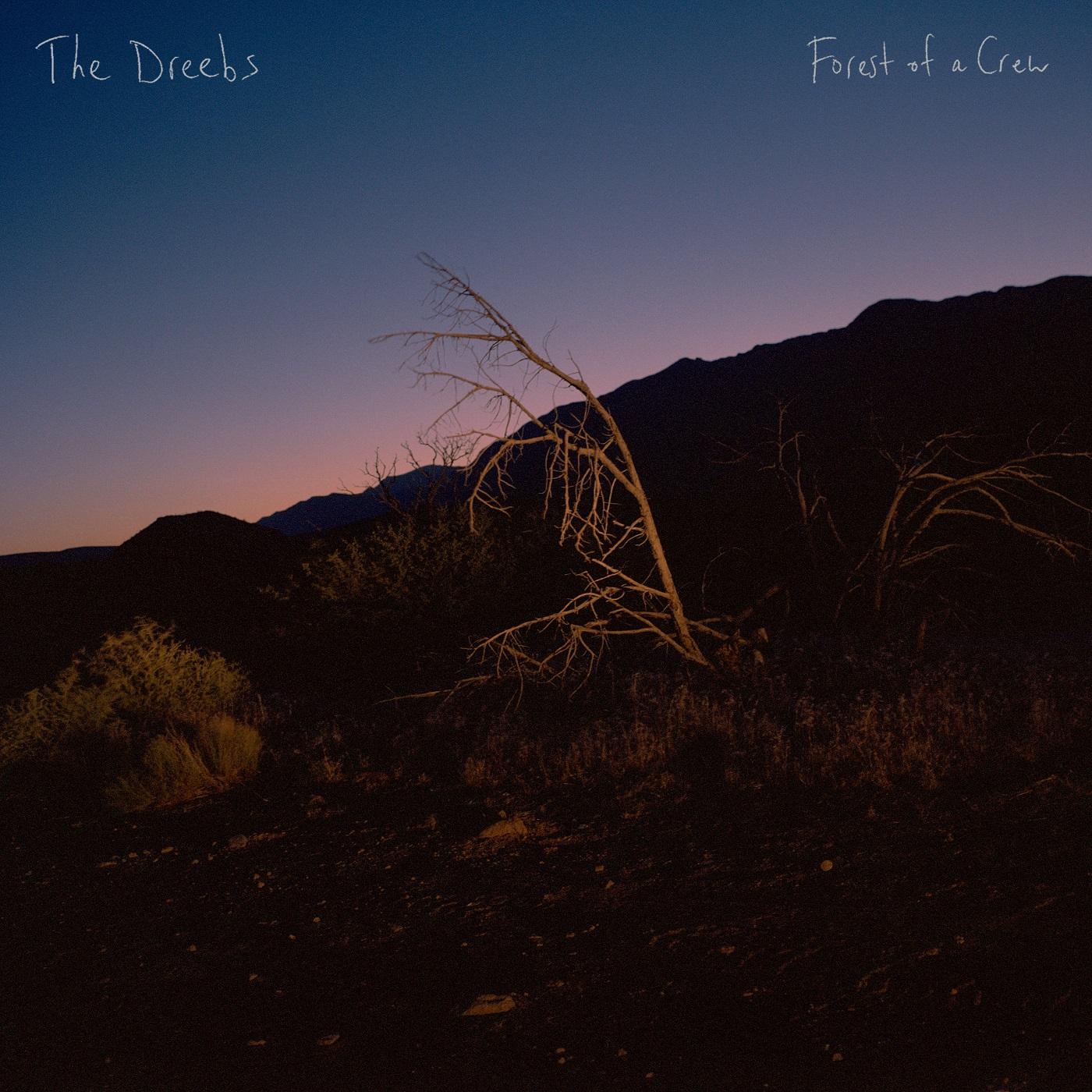 FOREST OF A.. -DOWNLOAD- - Front Cover