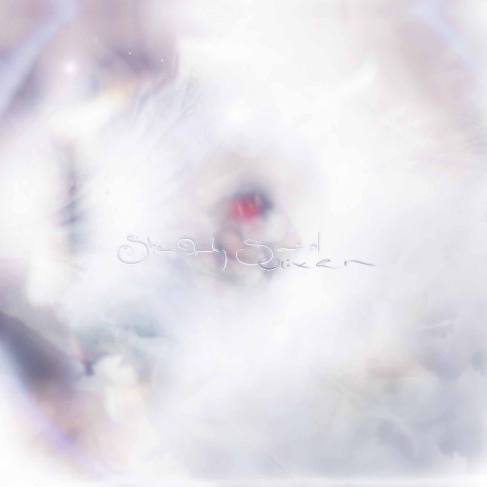 She Only Said - Front Cover