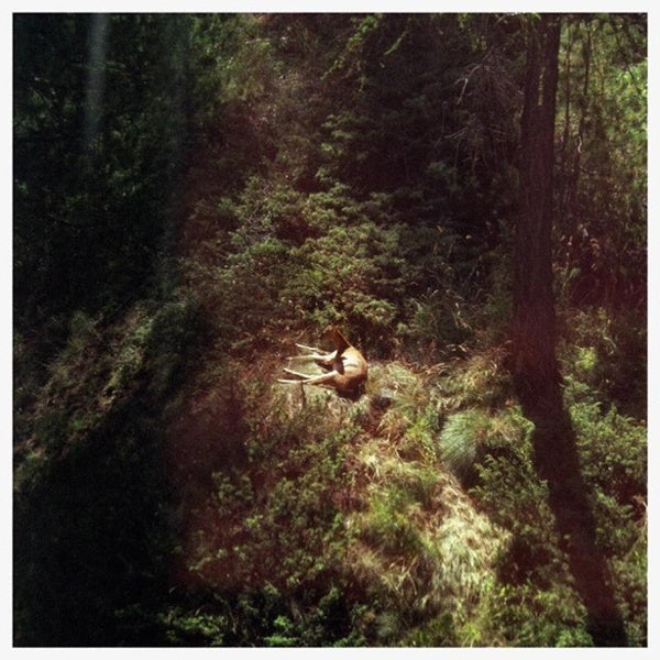 SINGS AGAIN - Front Cover