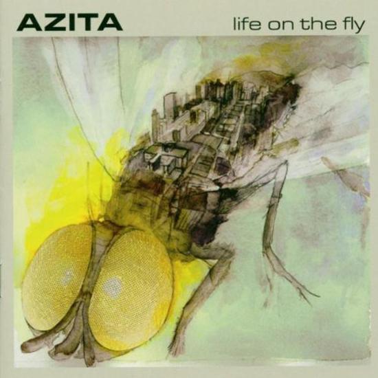 Life On The Fly - Front Cover