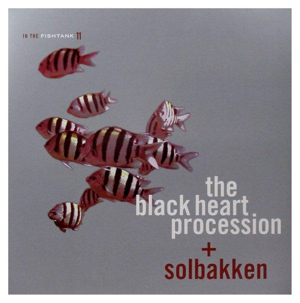 In The Fishtank/Silver - Front Cover