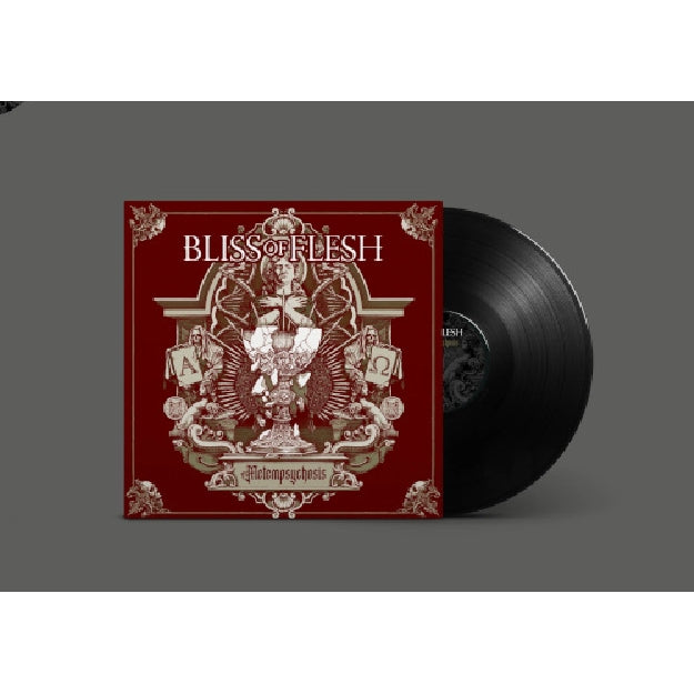 Metapsychosis - Front Cover