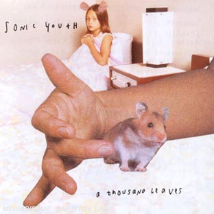 A thousand leaves - Front Cover