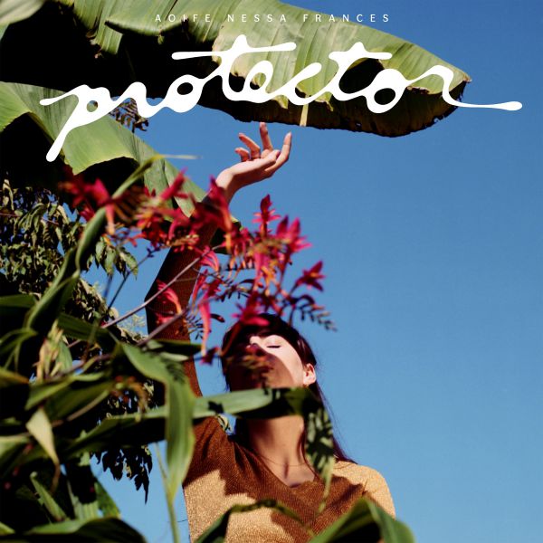 Protector - Front Cover