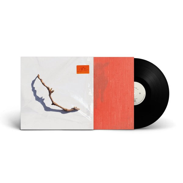 I Inside the Old Year Dying - Front Cover