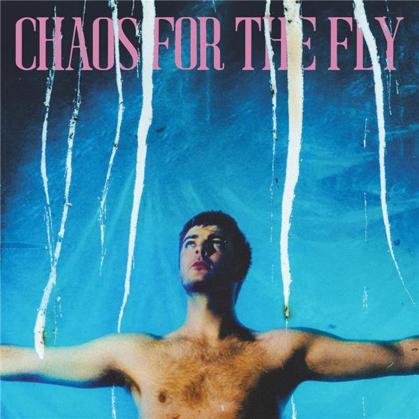 Chaos For The Fly - Front Cover