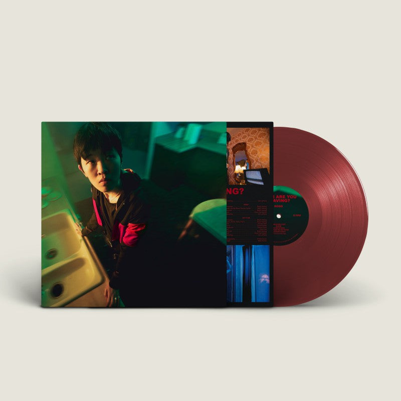 When Are You Leaving? - Front Cover