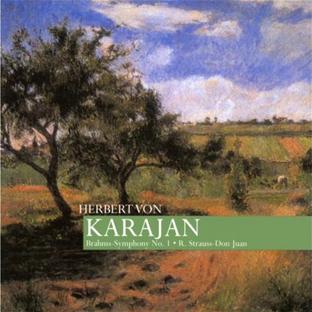Symphonie n° 1 - Don Juan - Front Cover