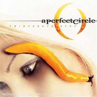 Thirteenth step - Front Cover