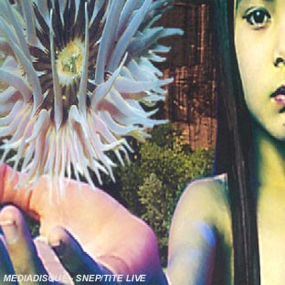 Lifeforms - Front Cover