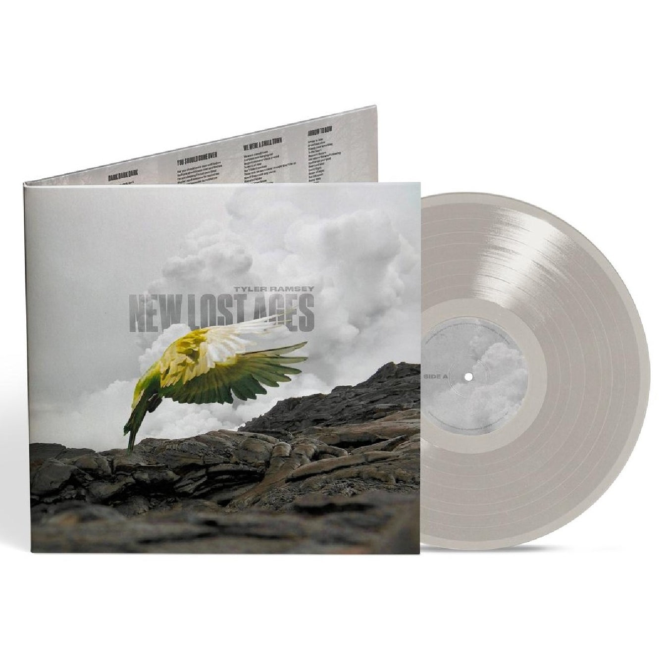 New Lost Ages - Front Cover