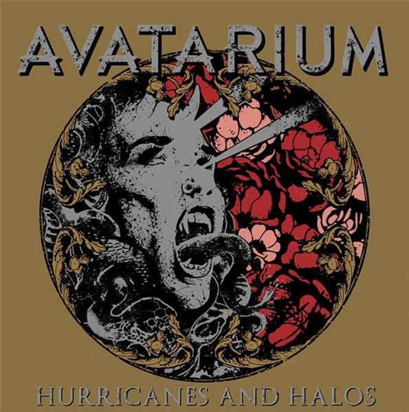 Hurricanes and halos - Front Cover