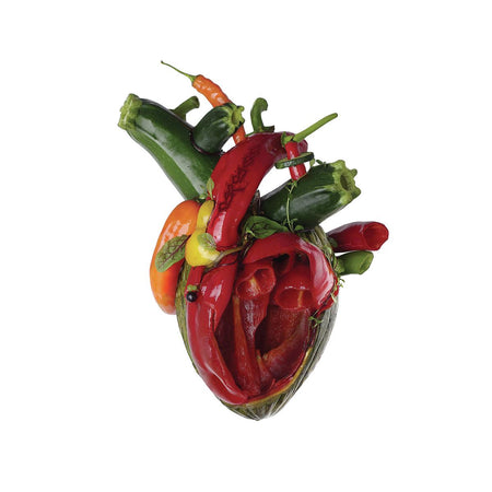 TORN ARTERIES - Back Cover