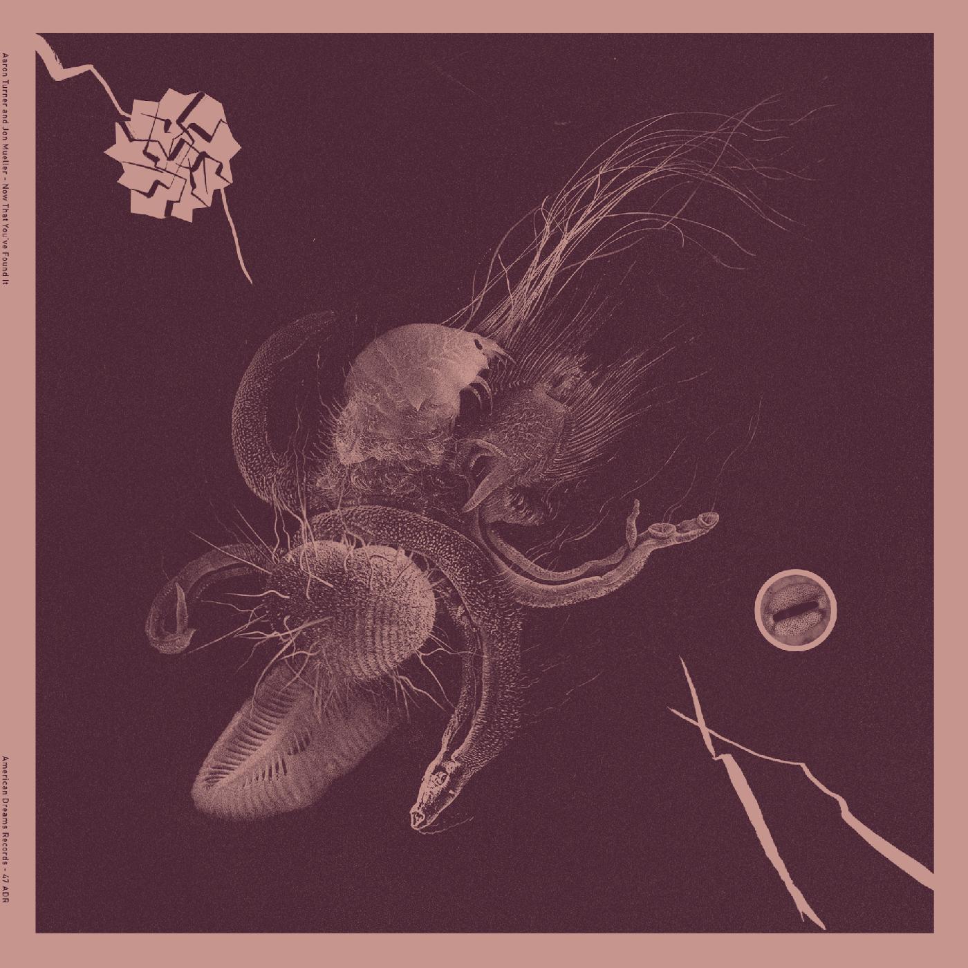 NOW THAT YOU VE FOUND IT - Front Cover