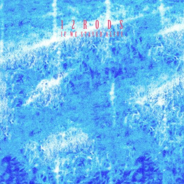 IF WE STAYED ALIVE - Front Cover