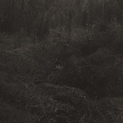 Transient - Front Cover