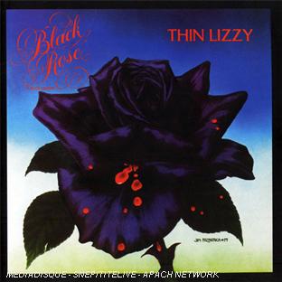 Black rose - Front Cover
