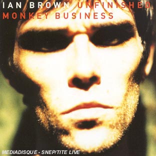 Unfinished monkey business - Front Cover