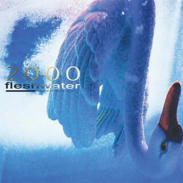 2000: In Search Of The Endless Sky - Front Cover