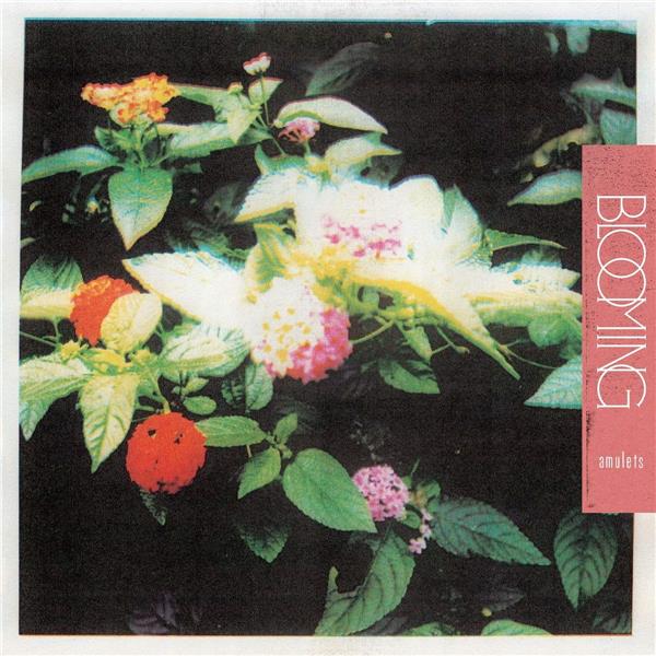 Blooming - Front Cover
