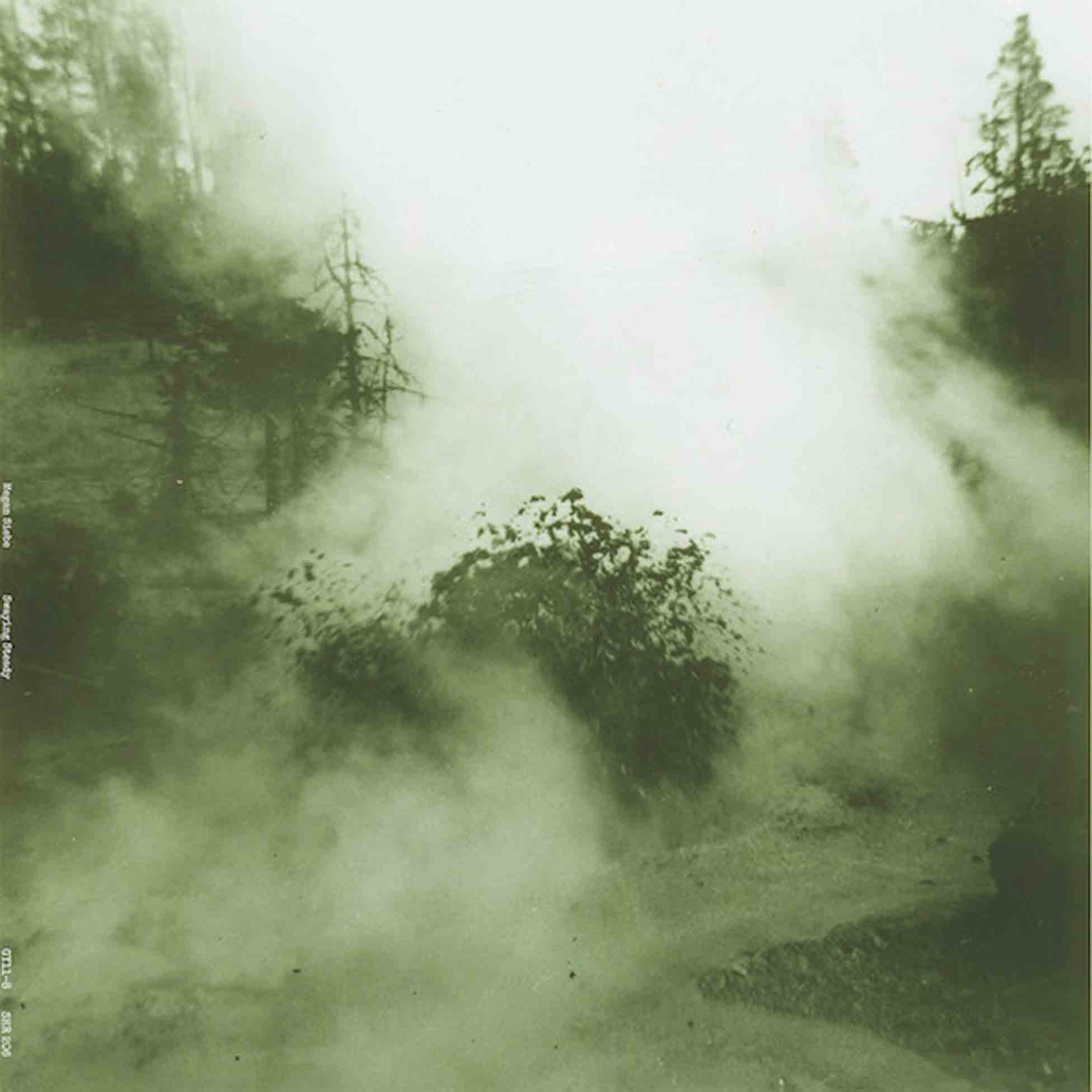 Swaying Steady - Front Cover