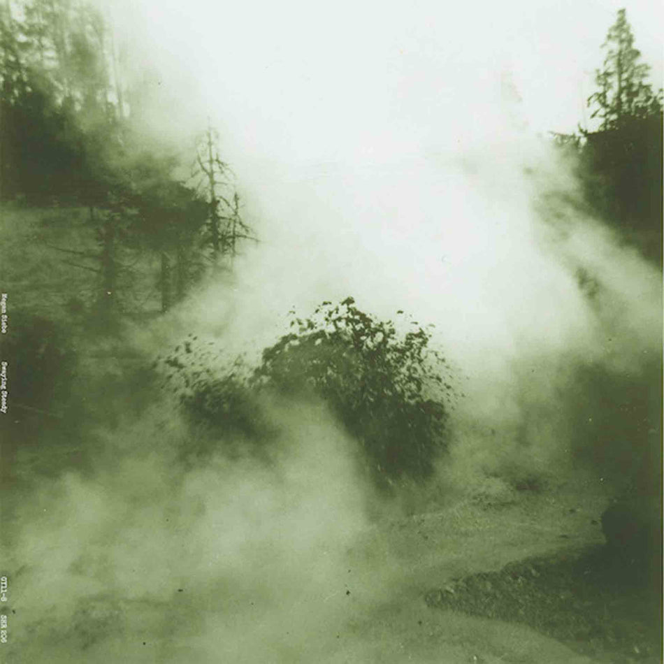 Swaying Steady - Front Cover