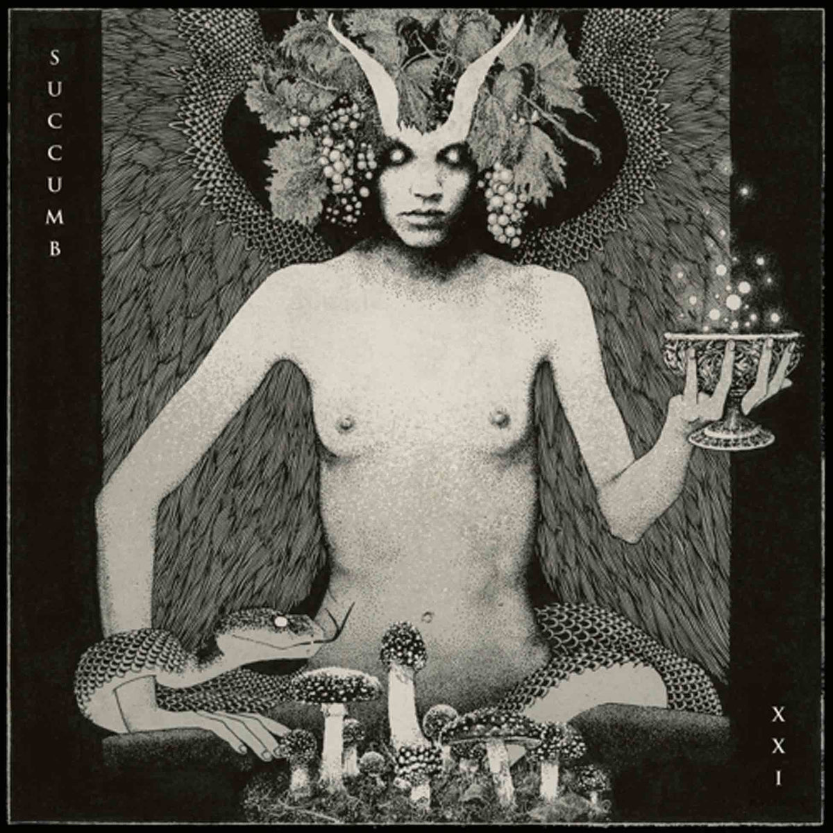 Xxi - Front Cover