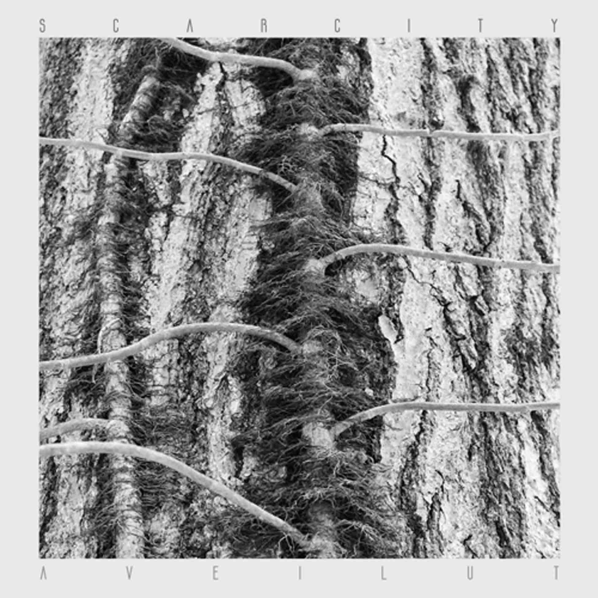 Aveilut - Front Cover