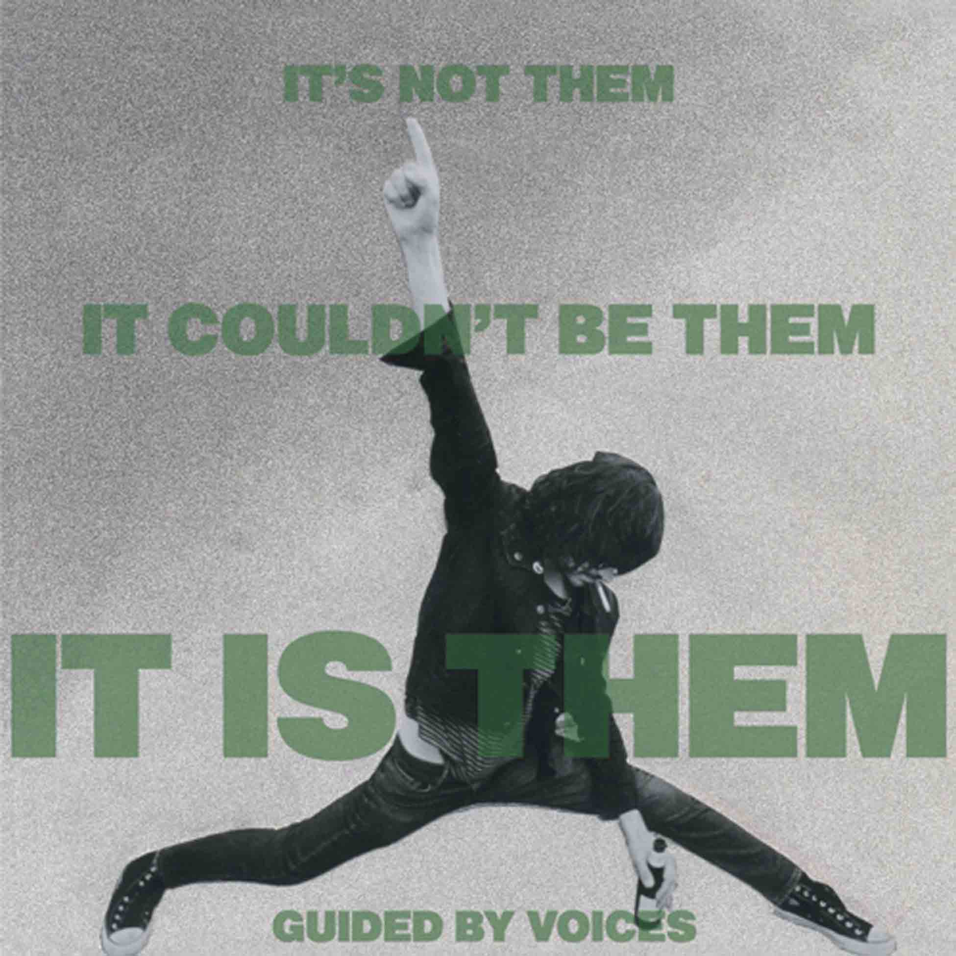 It'S Not Them. It Couldn'T Be Them. It Is Them! - Front Cover
