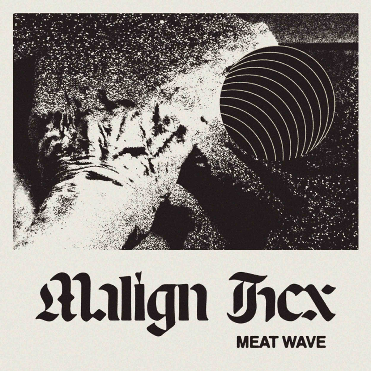 Malign Hex - Front Cover