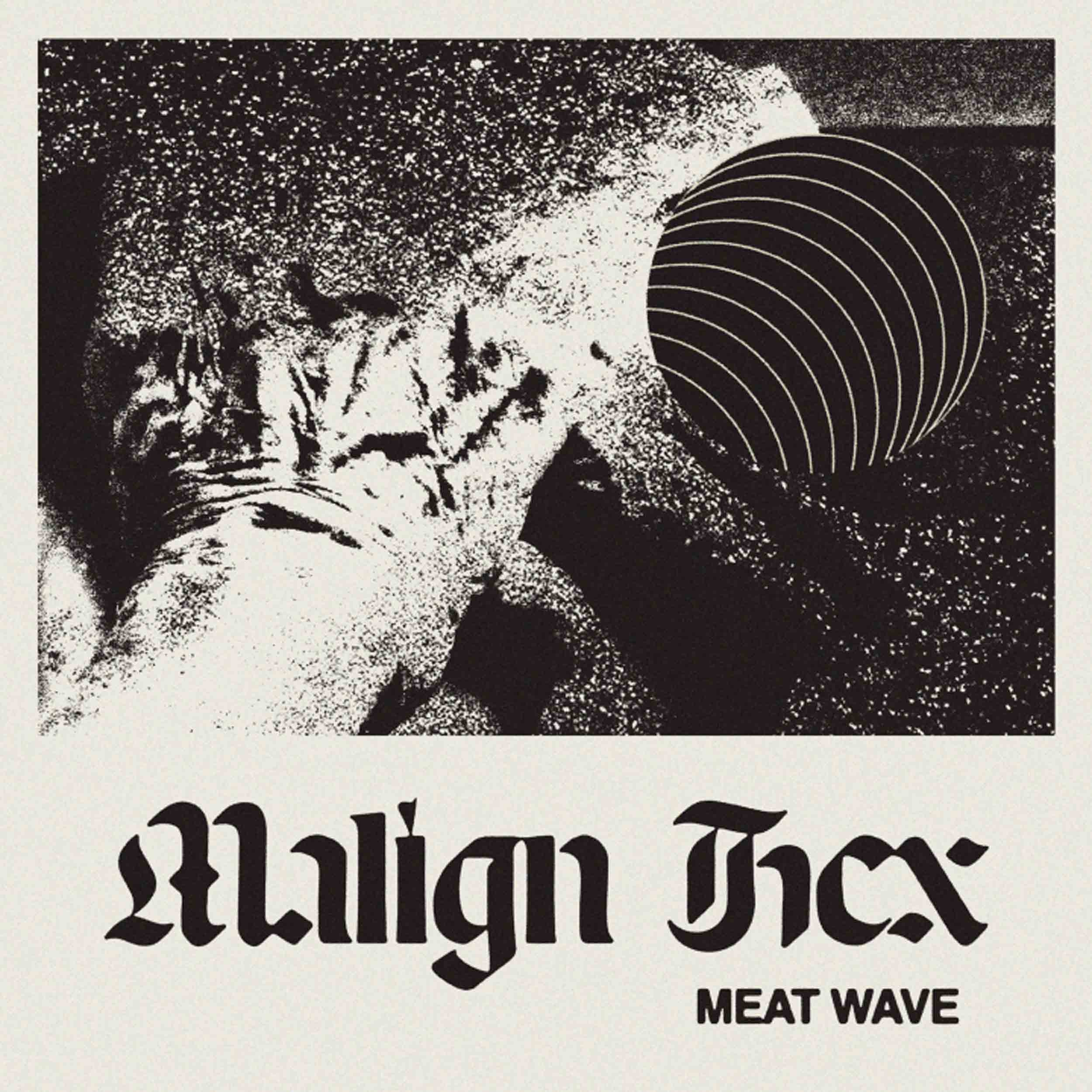 Malign Hex - Front Cover