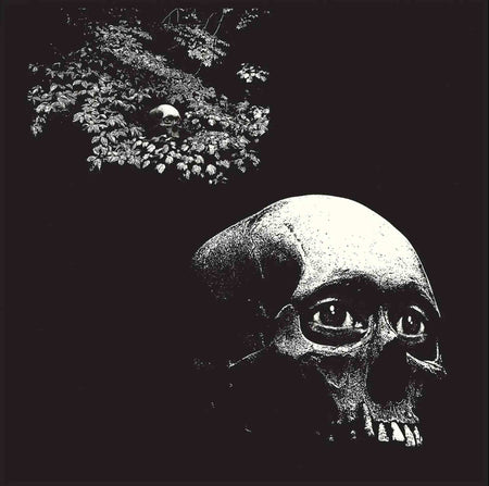 A Foul Form - Front Cover