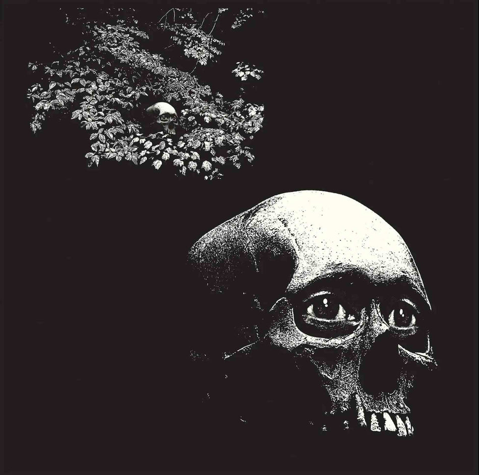 A Foul Form - Front Cover