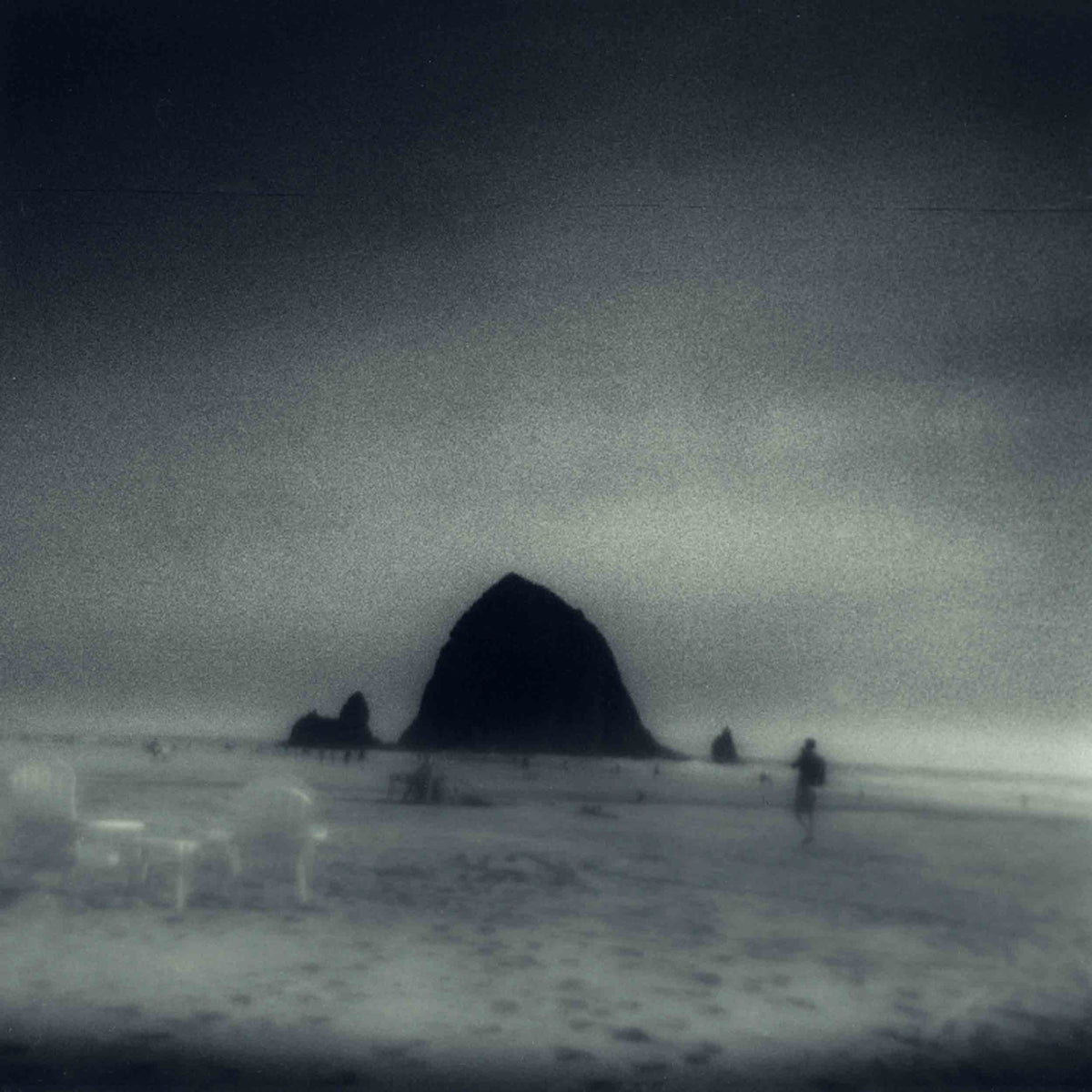 Wane Into It - Front Cover