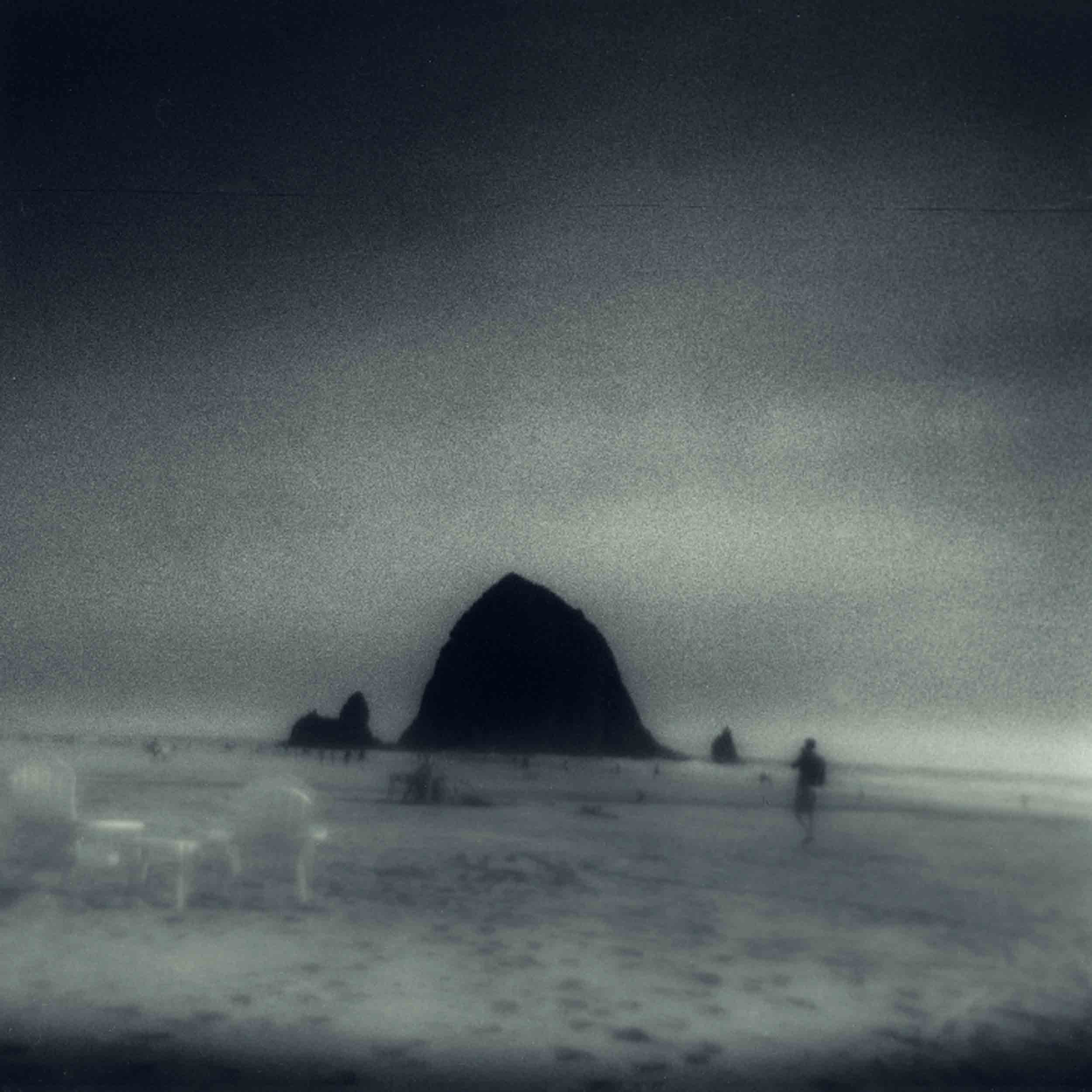 Wane Into It - Front Cover