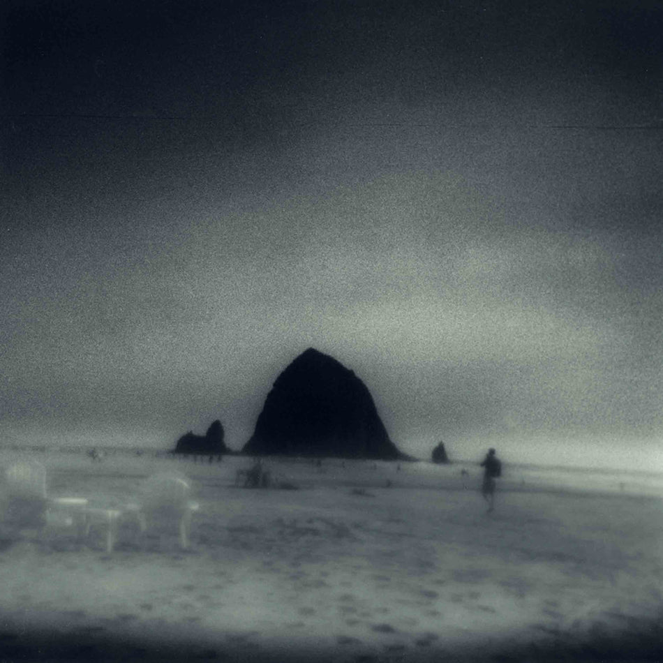 Wane Into It - Front Cover