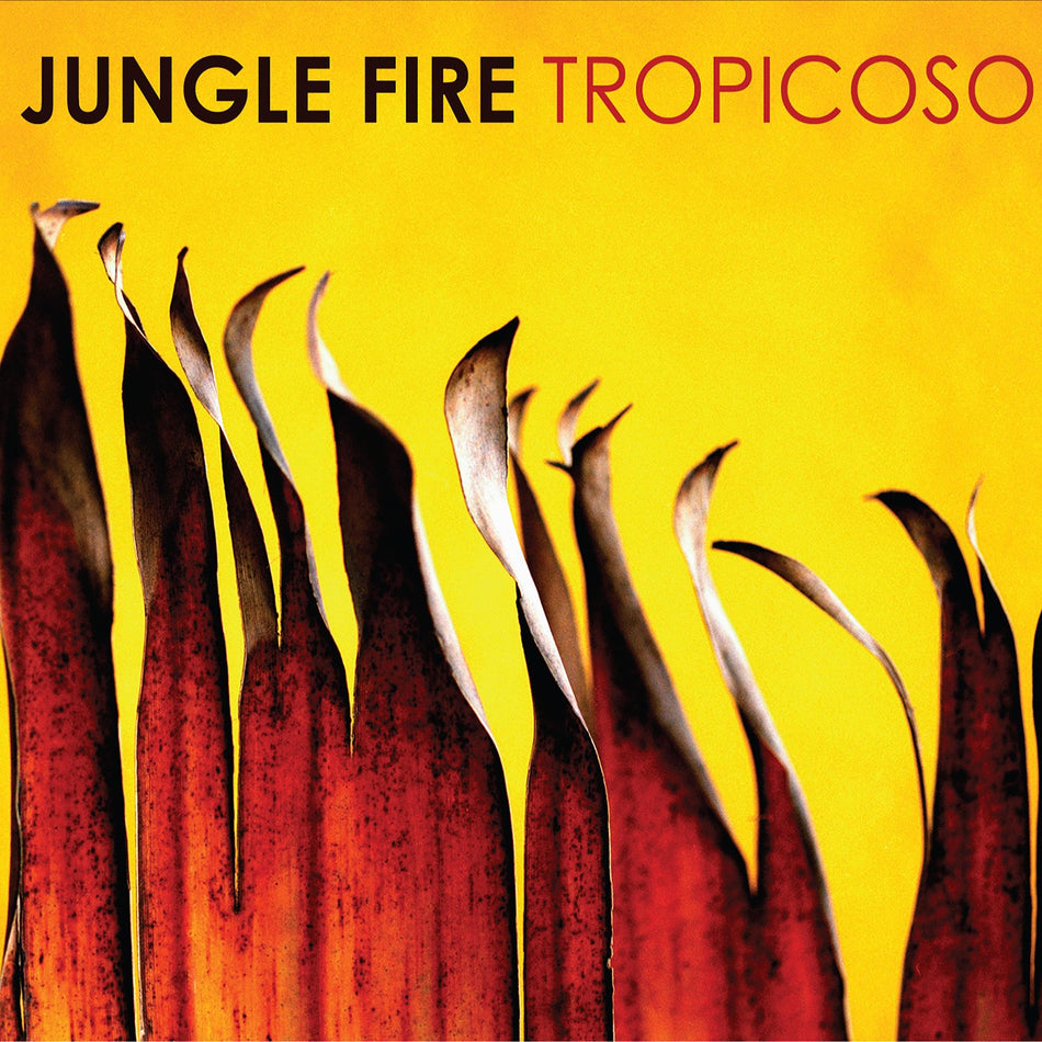 Tropicoso - Front Cover