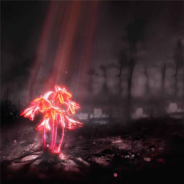 A Kiss for the Whole World - Front Cover