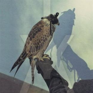 YOU'RE NOTHING - Front Cover