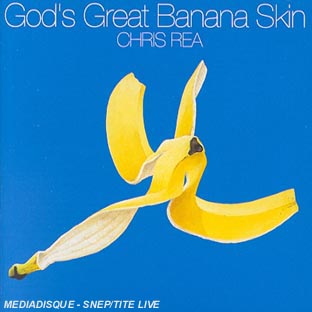 God's great banana skin - Front Cover