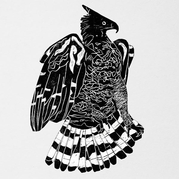 Crowned Eagle - Front Cover