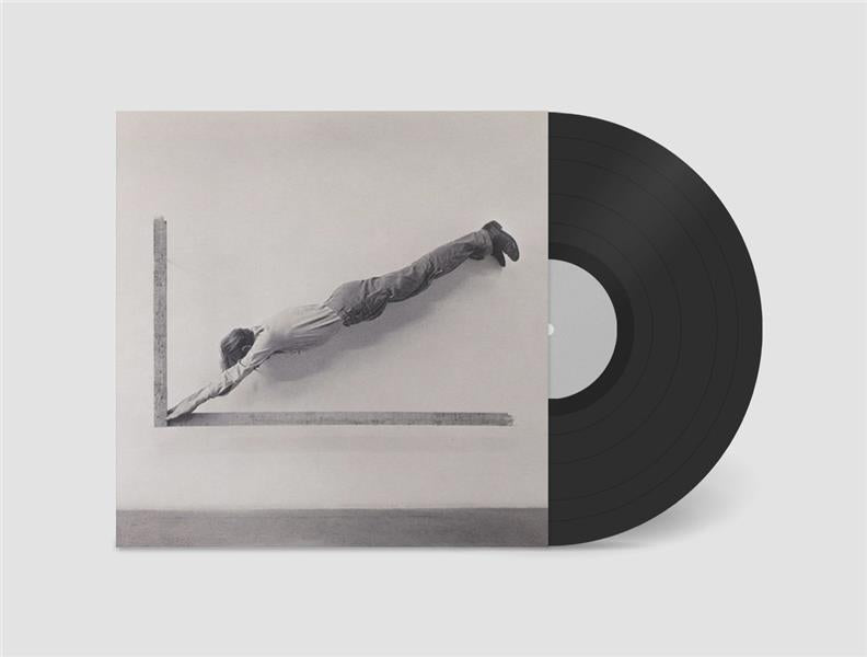 INSIGNIFICANT WHIP CANT WHIP - Front Cover