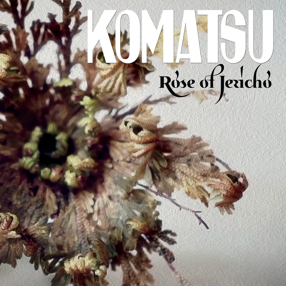 Rose Of Jericho - Front Cover