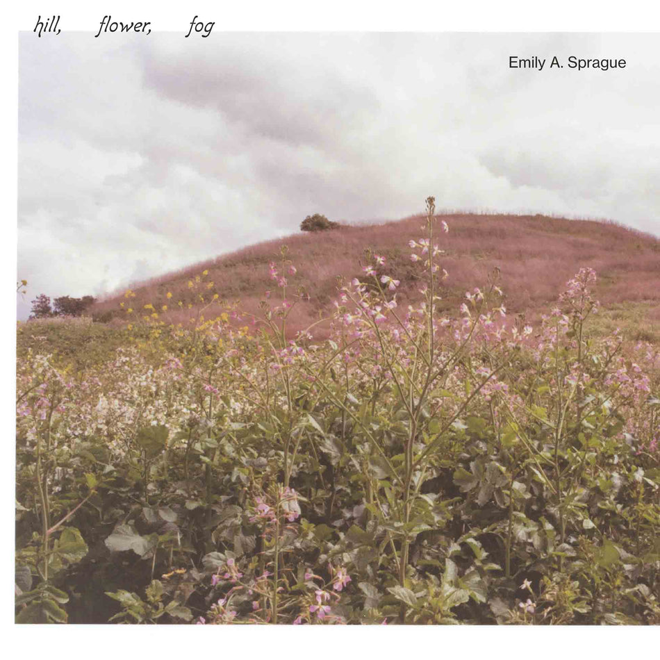 Hill, Flower, Fog - Front Cover
