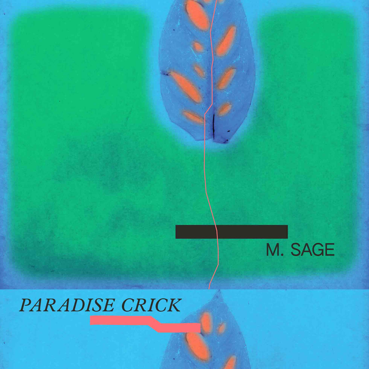 Paradise Crick - Front Cover