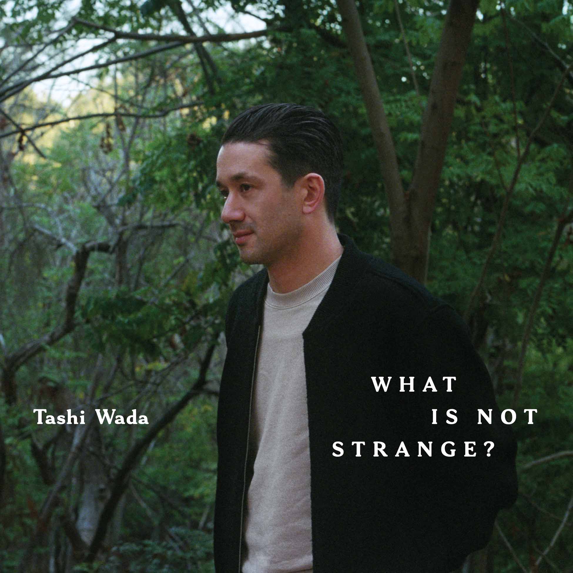 What Is Not Strange - Front Cover