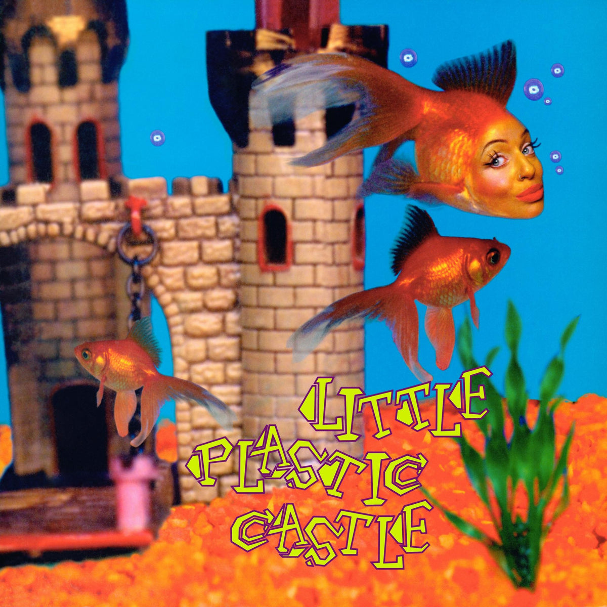 Little Plastic Castle (25th Anniversary Edition) - Front Cover