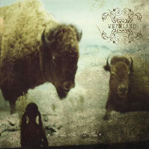 BREAKS IN THE SUN - Front Cover