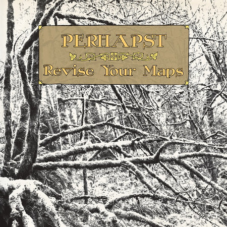 REVISE YOUR MAPS - Front Cover